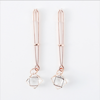 Roségold Metall Lange Gewichtete Schmuck-BDSM-Erotik-Sexspielzeuge Metall-Nippel-Klitoris-Klammern Brustklemmen Erwachsenenspiele für Paare