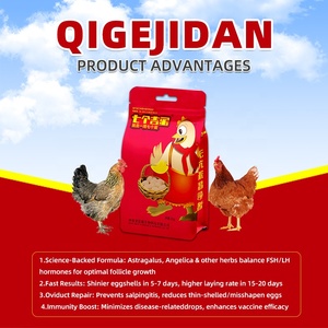 Nhà sản xuất thức ăn gia cầm <span class=keywords><strong>premix</strong></span> chất dinh dưỡng cho các lớp cải thiện hiệu suất sản xuất trứng nguyên tố vi lượng <span class=keywords><strong>premix</strong></span> Gà Thịt - Product Image 4