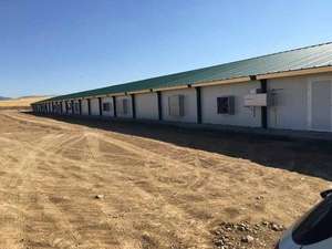 2025 besar peternakan ayam khusus rumah ayam semua jenis struktur baja prefabrikasi rumah ayam struktur baja pertanian - Product Image 2