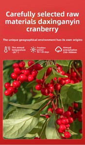 <span class=keywords><strong>Jus</strong></span> de canneberge 100% pur, fraîchement pressé, sans sucre, <span class=keywords><strong>jus</strong></span> de fruits et légumes en boîte avec échantillon gratuit disponible - Product Image 3