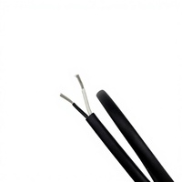 Câble électrique plat blindé 18AWG à 2 conducteurs, résistant à l'huile, flexible, en PE torsadé, 250V, conçu pour les ordinateurs de véhicules électriques