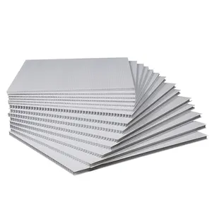 Personnalisé 2mm 3mm 4mm 5mm 6mm 7mm 8mm 9mm10mm épaisseur blanc Pp blanc double paroi feuille de plastique ondulé panneau de plastique léger