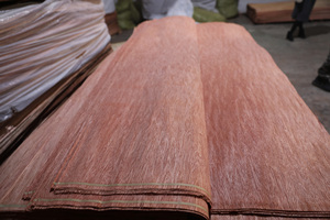 Solomon faccia <span class=keywords><strong>impiallacciatura</strong></span> bintangor <span class=keywords><strong>impiallacciatura</strong></span> <span class=keywords><strong>impiallacciatura</strong></span> di legno naturale <span class=keywords><strong>per</strong></span> il foglio di compensato - Product Image 4