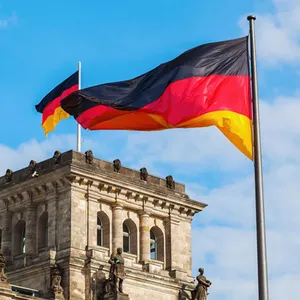 Vente en gros US 3x5 FT Impression de haute qualité Drapeau allemand personnalisé 100D Polyester Noir Rouge Jaune Durable pour l'extérieur et l'intérieur - Product Image 2