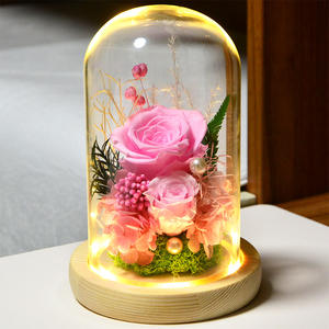 TC 2024 vente en gros préservé éternel pour toujours Rose préservé véritable fleur de Rose dans un dôme en verre pour les cadeaux de fête des mères de la Saint-Valentin - Product Image 1