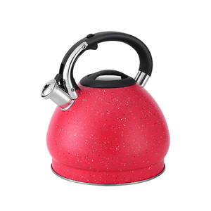 Modern Design Stainless Steel <strong>Kettle</strong> for Induction <strong>Hob</strong> &amp; All Stovetops 3.0L - Product Image 1
