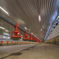 Gallinero Prefabricado Automático y Económico para 10000 Pollos, Diseño Moderno para Granjas