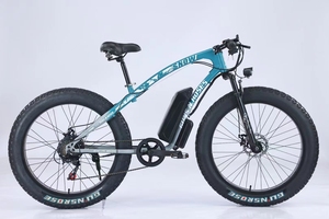Vélo électrique sportif pour adulte, de haute qualité et à prix abordable, modèle Braver, avec batterie au lithium, idéal pour la plage et la neige, produit chinois très vendu. - Product Image 6