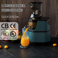 Stainless Steel Electric Slow Fresh Smoothie Fruit Citrus Orange Extractor Blender Slow Juicer Machine