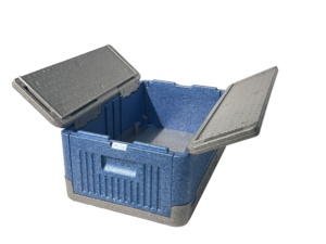 Venta al por mayor plegable ligero 40L aislamiento EPP espuma Chill Cooler Box con patrón de rayas térmico para almacenamiento de alimentos - Product Image 5
