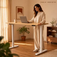 Bureau debout électrique modulaire moderne personnalisé OEM, hauteur réglable, moteur simple, métal, poste de travail ergonomique pour la maison et le bureau