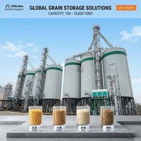 Silo in Acciaio per Stoccaggio Commerciale di Orzo, Mais, Grano e Cereali per Grandi Impianti di Macinazione di Riso/Grano/Mais/Mangimi