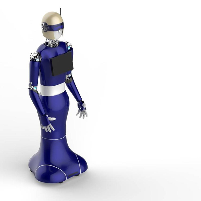 Humanoid Intelligent Business Service Robots Work in Hotels