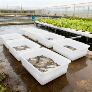 Poly Food Grade 1000l grande contenitore di <span class=keywords><strong>plastica</strong></span> vasche quadrate in <span class=keywords><strong>plastica</strong></span> serbatoio d'acqua acquacoltura acquacoltura - Product Image 1