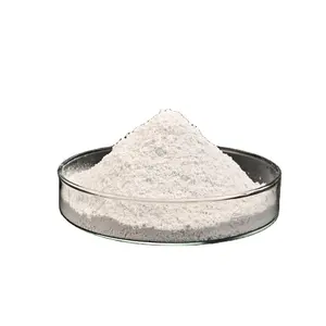 Ultra white Caco3 Powder from China manufacturer with factory Price 2023