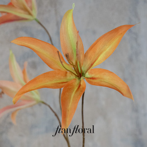 FONG IAN Fleurs artificielles réalistes en plastique de haute qualité, <span class=keywords><strong>Amaryllis</strong></span> à 3 têtes, Hippeastrum, toucher réel, décoration florale de Noël, vente en gros - Product Image 3