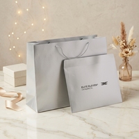 Sacs en papier argentés personnalisés avec votre logo, diffuseurs de parfum en papier argenté, parfums pour hommes, t-shirts, sacs cadeaux pour événements