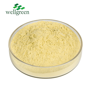 Extracto de <span class=keywords><strong>Cantharellus</strong></span> <span class=keywords><strong>Cibarius</strong></span>, extracto de hongo Chanterelle, 10% polisacáridos, suministro de fábrica ISO - Product Image 3