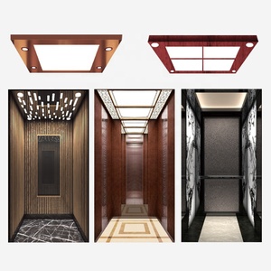 <span class=keywords><strong>Lift</strong></span> <span class=keywords><strong>Mini</strong></span> Rumah, <span class=keywords><strong>Lift</strong></span> Platform Rumah untuk Rumah - Product Image 5