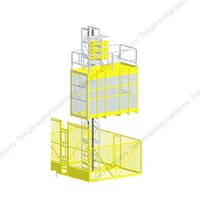 Palans de levage de chantier personnalisés en usine à double cage 2000 kg avec moteur et boîte de vitesses pour bâtiments de grande hauteur, utilisation extérieure, système crémaillère et pignon