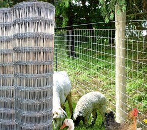 Bán Chạy nhất kinh tế đồng cỏ hàng rào Net là mạnh mẽ và hiệu quả chi phí làm cho nó một người trợ giúp tốt cho đồng cỏ chăn thả. - Product Image 4