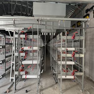 Équipement de cage à <span class=keywords><strong>poules</strong></span> <span class=keywords><strong>pondeuses</strong></span> de type H de haute qualité avec acier galvanisé à chaud, <span class=keywords><strong>abri</strong></span> et enclos multifonctionnels - Product Image 4