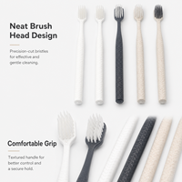 Lot de brosses à dents jetables avec dentifrice pour hôtels et distributeurs de produits hôteliers