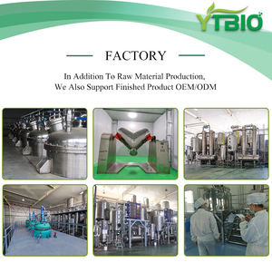 Ekstrak Teh Putih Premium Bubuk 50% Polifenol untuk Antioksidan & Perawatan Kulit - Product Image 4