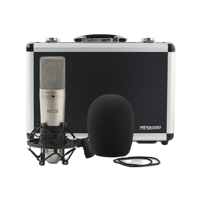 797Audio ACR01 OEM/ODM Micro Studio Recording Mic,singing,audio and Living Program Speaker Professional Condenser Microphone