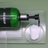 OEM/ODM Factory Bio-Teebaumöl-Kontrolle Anti Itchy Dry Scalp Paraben Free Shampoo Haarmaske Conditioner Set Bulk Sale