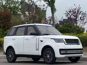 Nuovo Mini SUV Elettrico da 3500W a 4 Posti con Interni di Lusso, Touch Screen, Controllo Vocale e Riscaldamento - Product Image 2