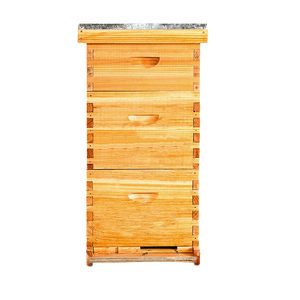 Colmena <span class=keywords><strong>de</strong></span> Abejas <span class=keywords><strong>de</strong></span> <span class=keywords><strong>Madera</strong></span> Langstroth <span class=keywords><strong>de</strong></span> 3 Niveles, 100% <span class=keywords><strong>Cera</strong></span> <span class=keywords><strong>de</strong></span> <span class=keywords><strong>Abeja</strong></span>, <span class=keywords><strong>para</strong></span> Apicultores, 2 Niveles Profundos y 1 Mediano - Product Image 1