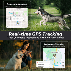 Traceur GPS 4G pour chien : localisation en temps réel, anti-perte, alertes géofences, surveillance de la santé, vétérinaire IA, étanche, longue autonomie de la batterie - Product Image 4