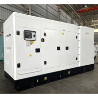 Générateur diesel silencieux de qualité supérieure CITY LION à châssis ouvert 300 kVA 240 kW avec ATS automatique, télécommande, étanche, onduleur 60 Hz 230 V
