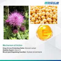 Tablet Ekstrak Silymarin Phospholipid Milk Thistle |   Suplemen Kesehatan Hati Alami Vitamin E Fosfolipid Kedelai