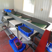 Ce Gecertificeerde Bosbessengrootte Sorteermachine/Bosbessen Sorteermachine Op Diameter