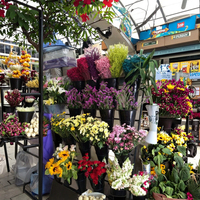 Présentoir de fleurs en métal simple face robuste pliable avec étagère de présentation de pot de fleurs de 16 pièces pour vitrine de fleurs