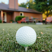 Balle de pratique de golf EVA Foam 20G pour l'entraînement et la pratique du golf avec compatibilité gazon artificiel