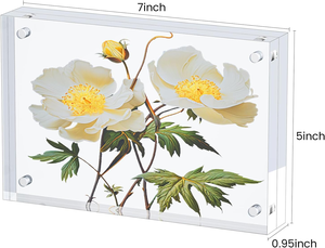 Hot Sell Traditional Medium Square Double Sided Clear <b>Acrylic</b> Photo <b>Frames</b> & Fridge Magnets for Room Decor - Product Image 5