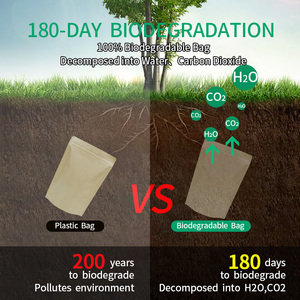 Reusable 500g Kraft Paper Bags for Nuts Zipper Seal Stand up <strong>Pouches</strong> Packaging Zip Lock Paper Bags With Window - Product Image 5