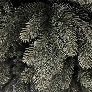 2026 New Design Pine <b>Christmas</b> Tree PE Mix PVC with Realistic Branch for Home Deco - Product Image 2