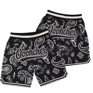 Op maat gemaakte vintage mesh applicaties sport shorts groothandel geborduurde street hiphop stijl mesh basketbalshorts met zakken - Product Image 3