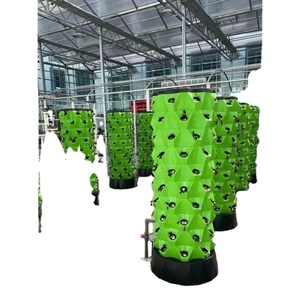 Gran invernadero agrícola con <span class=keywords><strong>faro</strong></span>, torre de crecimiento de jardín, sistema hidropónico doméstico para el crecimiento de piña - Product Image 5