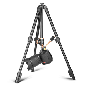 Qzsd Q160S Nhôm Không Gương Máy Ảnh DSLR Máy Ảnh Mini <span class=keywords><strong>Tripod</strong></span> Di Động Nhiếp Ảnh Trực Tiếp Điện Thoại Di Động Cradle Head <span class=keywords><strong>Tripod</strong></span> Mini <span class=keywords><strong>Tripod</strong></span> - Product Image 6