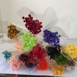 Couronne de fleurs séchées de fleurs étoilées brésiliennes, petites marguerites de <span class=keywords><strong>montagne</strong></span>, pour décorations de Noël DIY, couronne populaire - Product Image 3