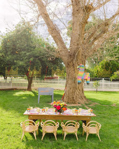 Chaise moderne en rotin naturel faite à la main pour enfants, chaise de sécurité pour tout-petits, idéale pour les fêtes d'anniversaire, les mariages et la décoration d'événements - Product Image 2