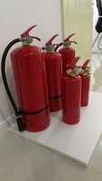 Pas cher Pompier Outils Extincteur En Gros