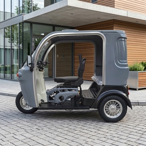 Mototaxi de Gasolina en Oferta, Triciclo de Pasajeros de 250 CC <span class=keywords><strong>para</strong></span> Personas con Discapacidad - Product Image 3