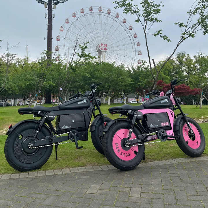 ファットバイク 電動アシスト自転車 ブラック Hf907ab7ad3a44d6283319290dac7f