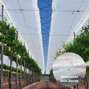 Film de protection multicouche Luguan pour raisins, résistant aux perforations, pour une résistance structurelle optimale et une formation de grappe optimale - Product Image 3
